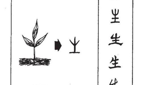 红糖木耳功效与作用及禁忌是什么-红糖木耳功效与作用及禁忌-专业红糖木耳功效与作用及禁忌平台-红糖加木耳治什么病